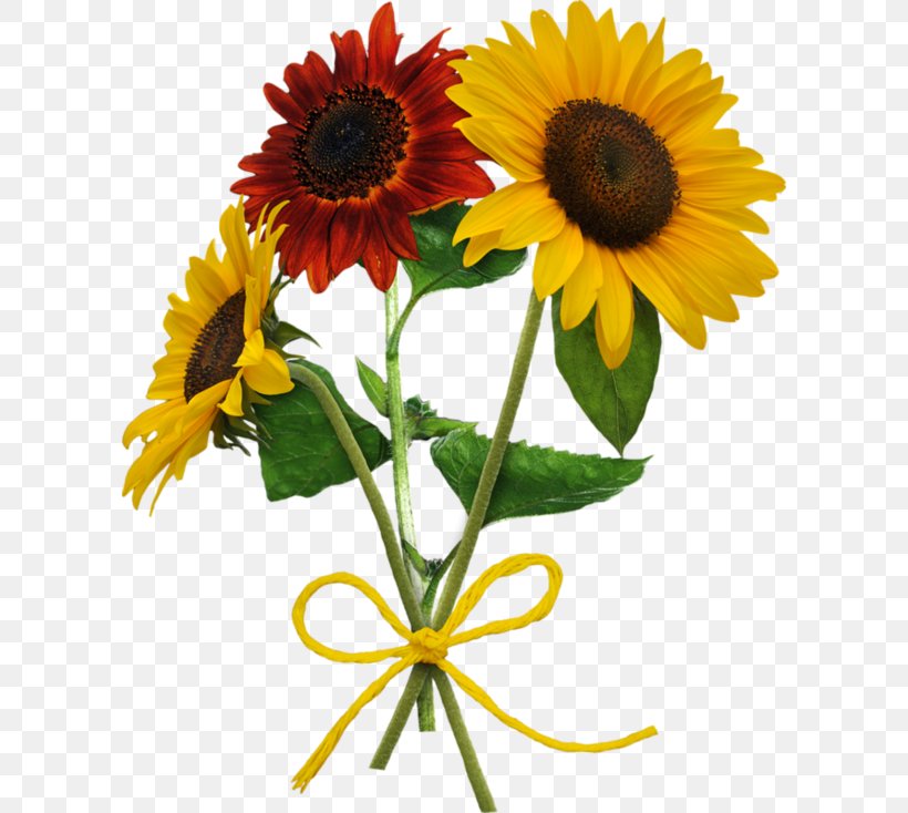 Спасибо за любовь Love Daisy Family Common Sunflower Verse, PNG, 600x734px, Watercolor, Cartoon, Flower, Frame, Heart Download Free