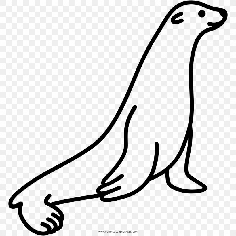 Sea Lion Earless Seal Drawing Coloring Book, PNG, 1000x1000px, Sea Lion, Aquatic Animal, Beak, Black And White, California Sea Lion Download Free