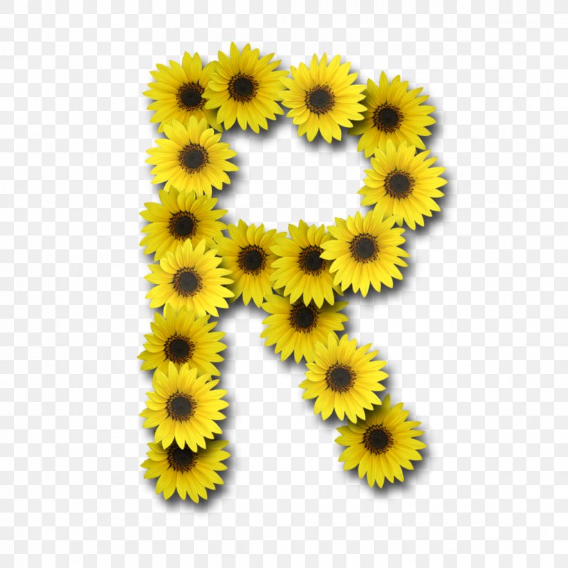 Alphabet Letter J, PNG, 1200x1200px, Alphabet, Alpha, Common Sunflower, Daisy Family, Flower Download Free