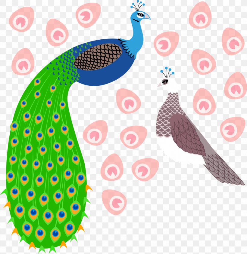 Bird Peafowl Vecteur, PNG, 919x948px, Bird, Asiatic Peafowl, Beak, Cartoon, Drawing Download Free