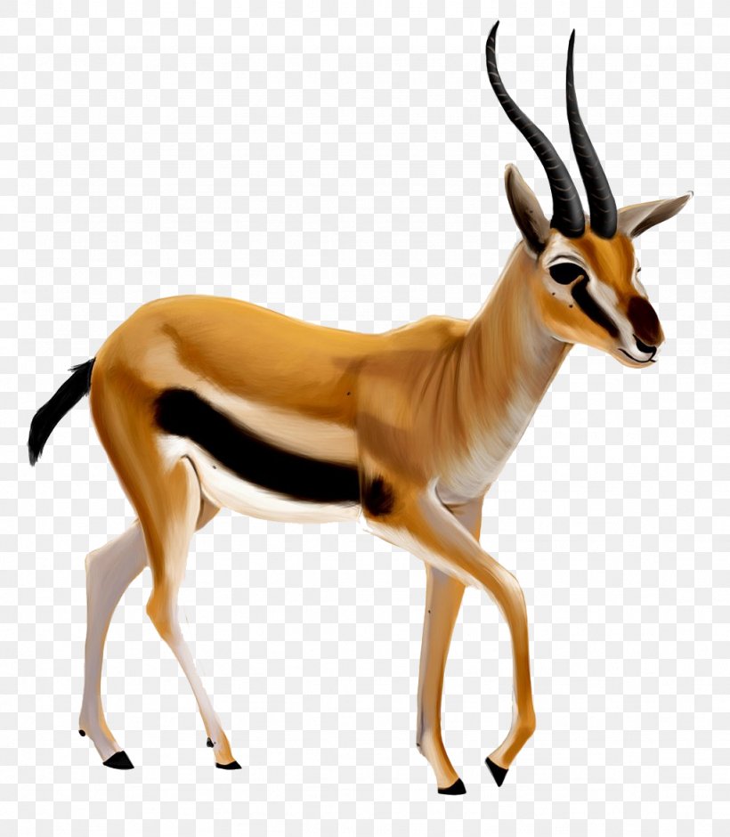 Gazelle Antelope Clip Art Transparency, PNG, 1024x1174px, Gazelle, Animal Figure, Antelope, Bongo, Cow Goat Family Download Free