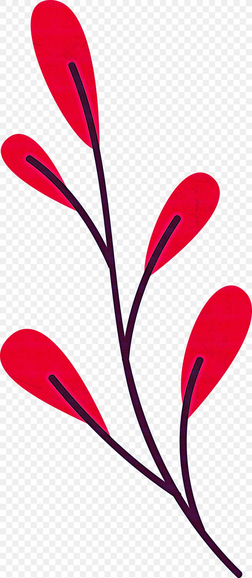 Plant Stem Petal Leaf Line Flower, PNG, 1307x3000px, Plant Stem, Biology, Flower, Leaf, Line Download Free