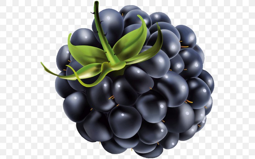 Clip Art Vector Graphics Blackberry Berries, PNG, 1280x800px, Blackberry, Berries, Berry, Bilberry, Blueberry Download Free