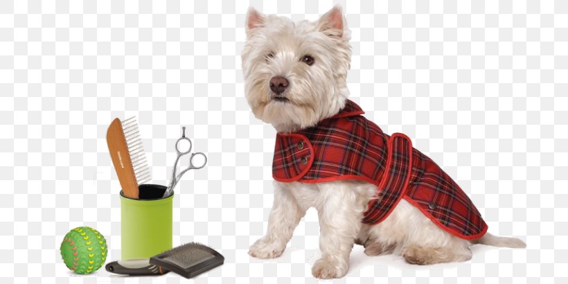 Dog Breed West Highland White Terrier Puppy Tartan Coat, PNG, 768x410px, Dog Breed, Carnivoran, Clothing, Coat, Companion Dog Download Free