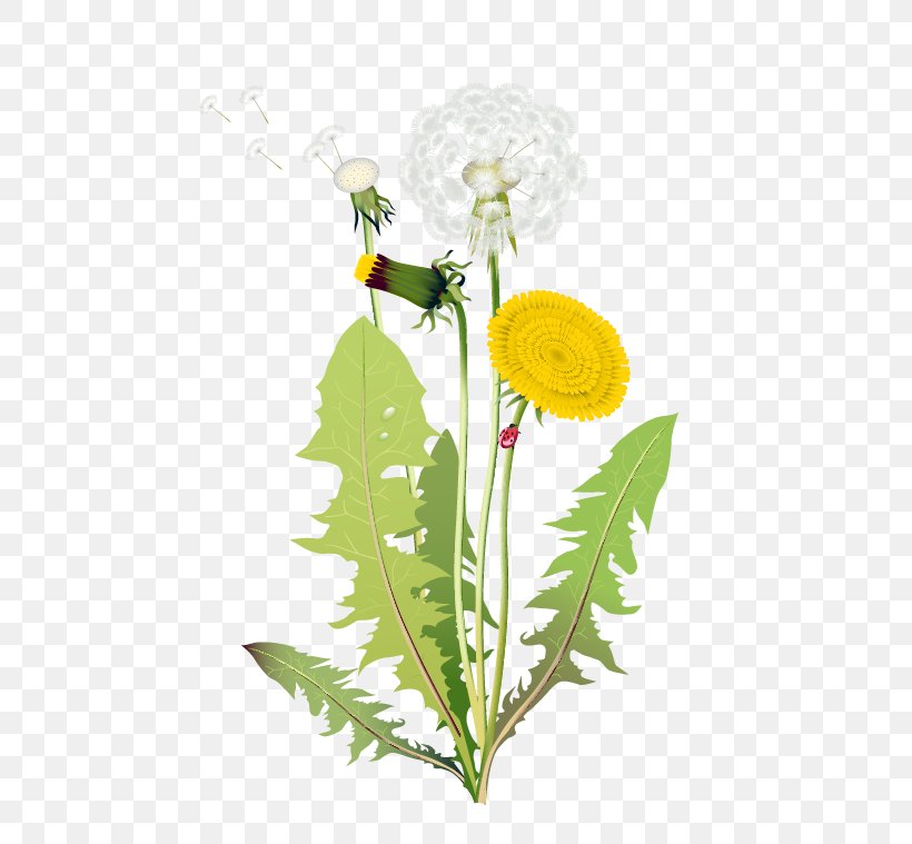 Flower Euclidean Vector Clip Art, PNG, 734x759px, Flower, Branch, Cut Flowers, Flora, Floral Design Download Free