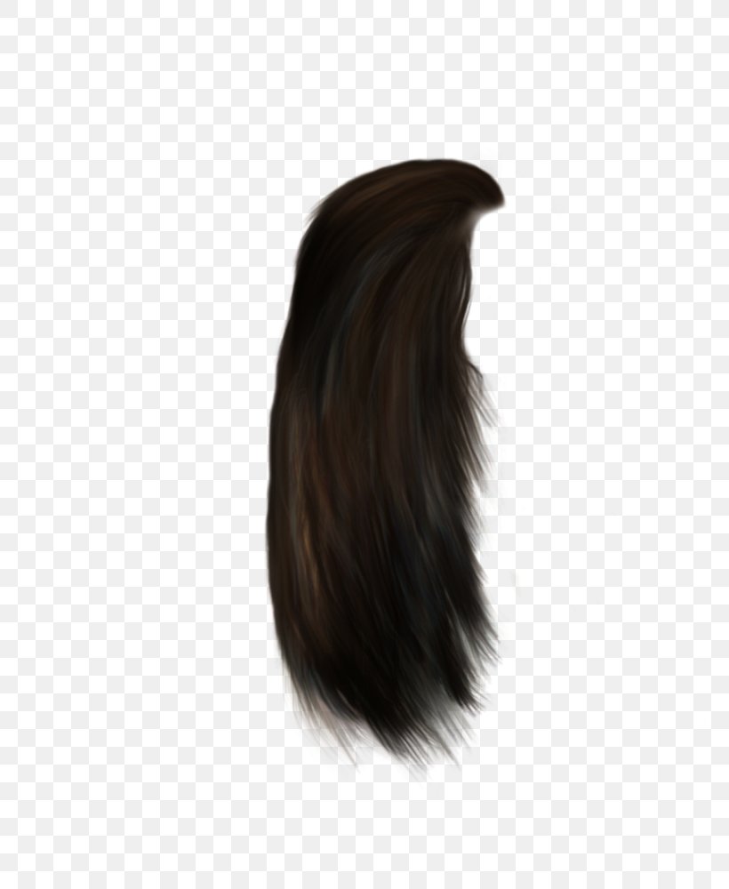 Hairstyle Human Hair Color Black Hair, PNG, 800x1000px, Hair, Black Hair, Brown Hair, Display Resolution, Editing Download Free