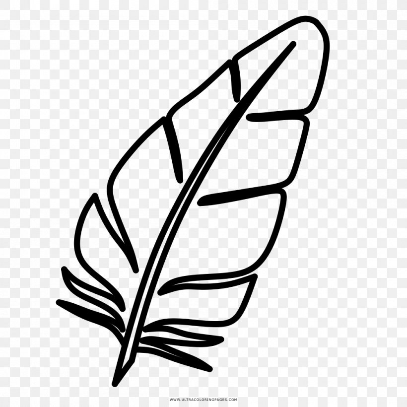 Line Art Plant Stem Leaf White Clip Art, PNG, 1000x1000px, Line Art, Artwork, Black And White, Branch, Branching Download Free