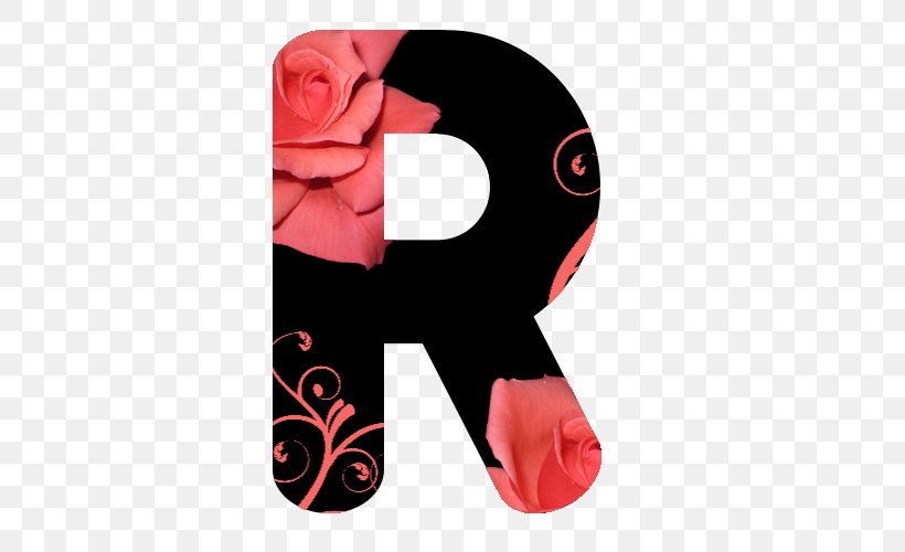 Rose Pink Font, PNG, 500x500px, Rose, Flower, Petal, Pink, Red Download Free