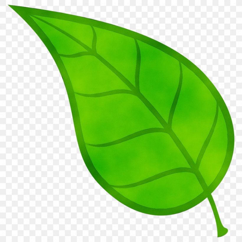 Banana Leaf, PNG, 894x894px, Watercolor, Apng, Autumn Leaf Color, Banana Leaf, Drawing Download Free