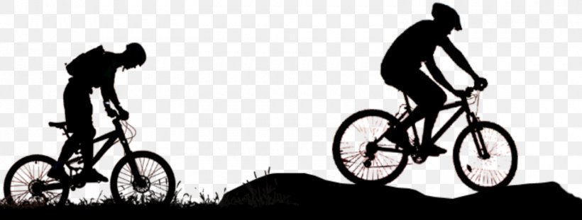 Bicycle Mountain Bike Cycling Mountain Biking BMX, PNG, 1500x569px, Bicycle, Bicycle Accessory, Bicycle Frame, Bicycle Motocross, Bicycle Part Download Free