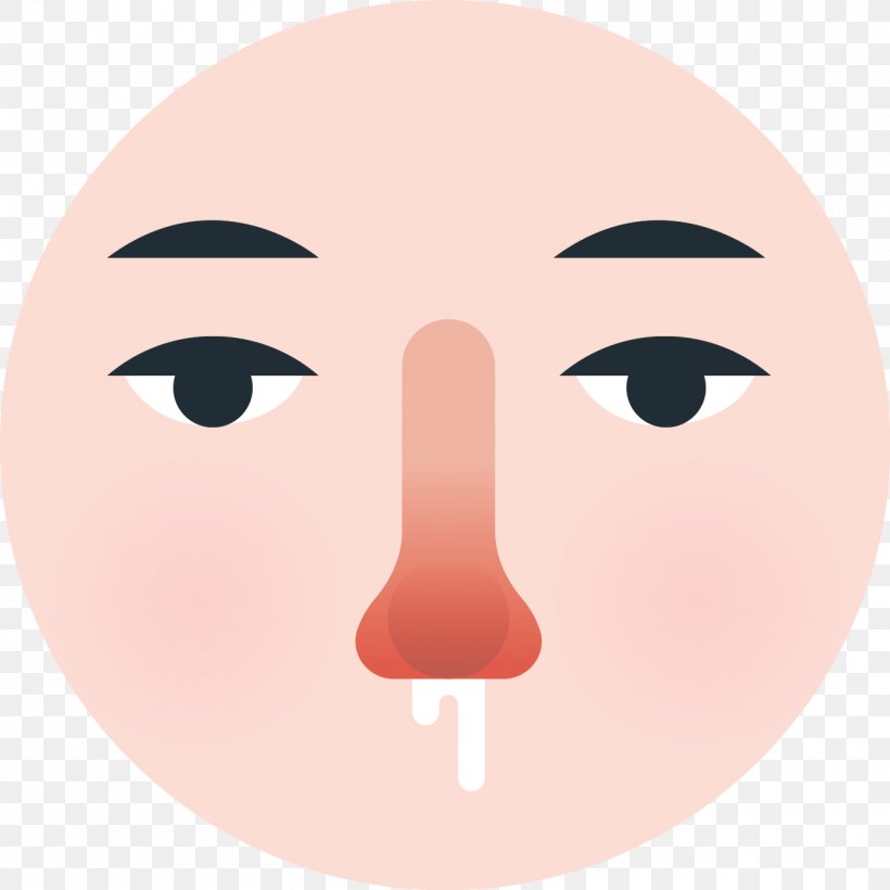 Nose Cheek Chin Eyebrow, PNG, 1310x1310px, Nose, Cheek, Chin, Eye, Eyebrow Download Free