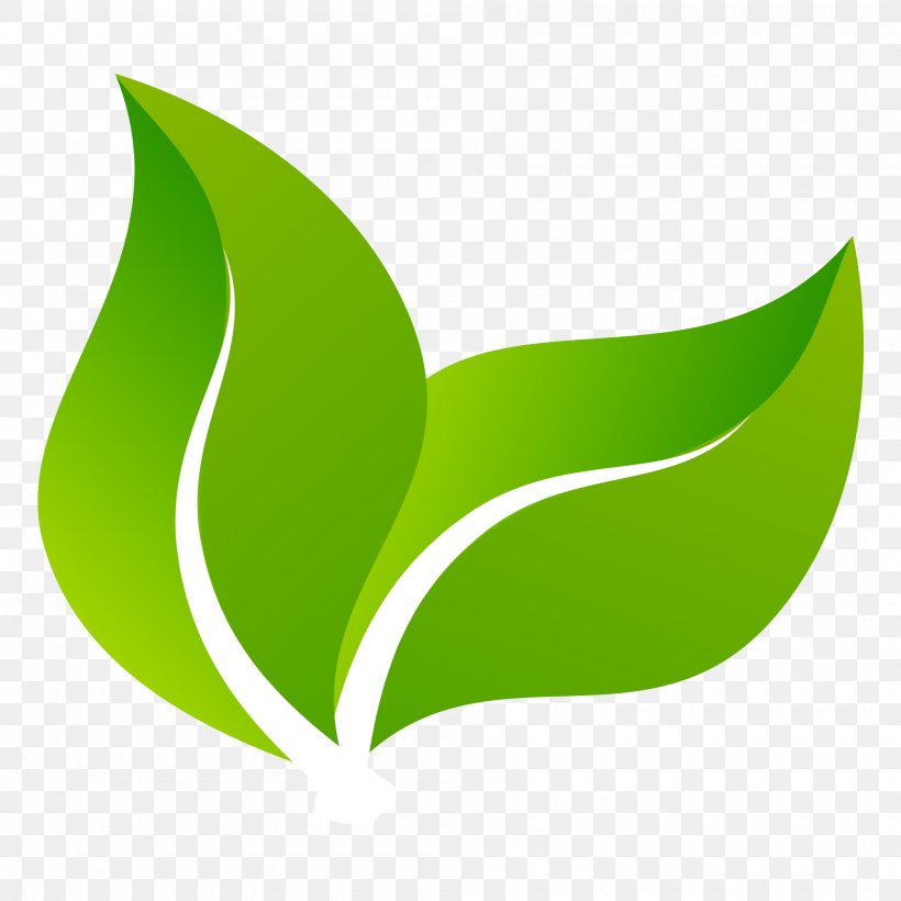 Logo Design Green Image, PNG, 2000x2000px, Logo, Brand, Color, Designer, Grass Download Free