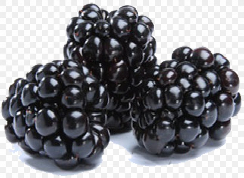 Blackberry Hass Avocado Fruit Amora, PNG, 1024x748px, Berry, Amora, Auglis, Avocado, Bead Download Free