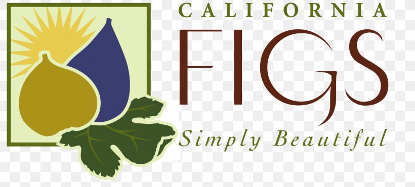 Common Fig Business Organization Industry, PNG, 2094x946px, Common Fig, Brand, Business, Flower, Food Download Free