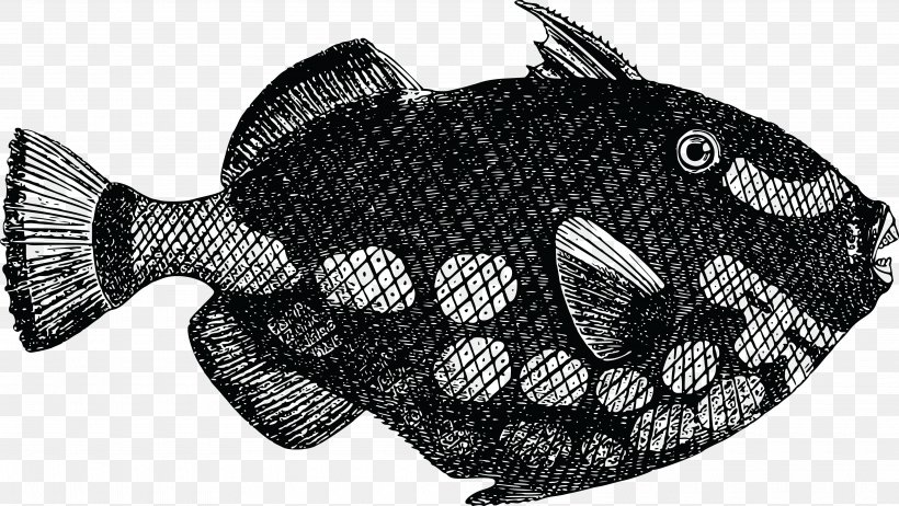 Download Clip Art, PNG, 4000x2256px, Drawing, Black And White, Diagram, Fauna, Fish Download Free