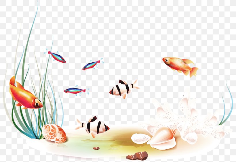 Fish Clip Art, PNG, 800x564px, Fish, Internet, Petal, Tropical Fish, Watercolor Painting Download Free