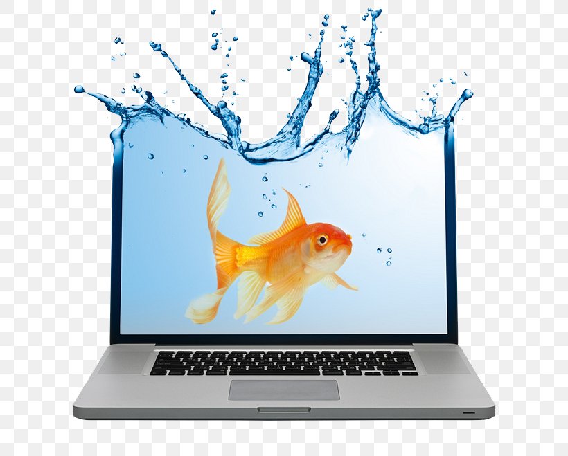 Laptop Notebook Creativity Software Organization, PNG, 658x659px, Laptop, Advertising, Computer Monitor, Creativity, Fish Download Free