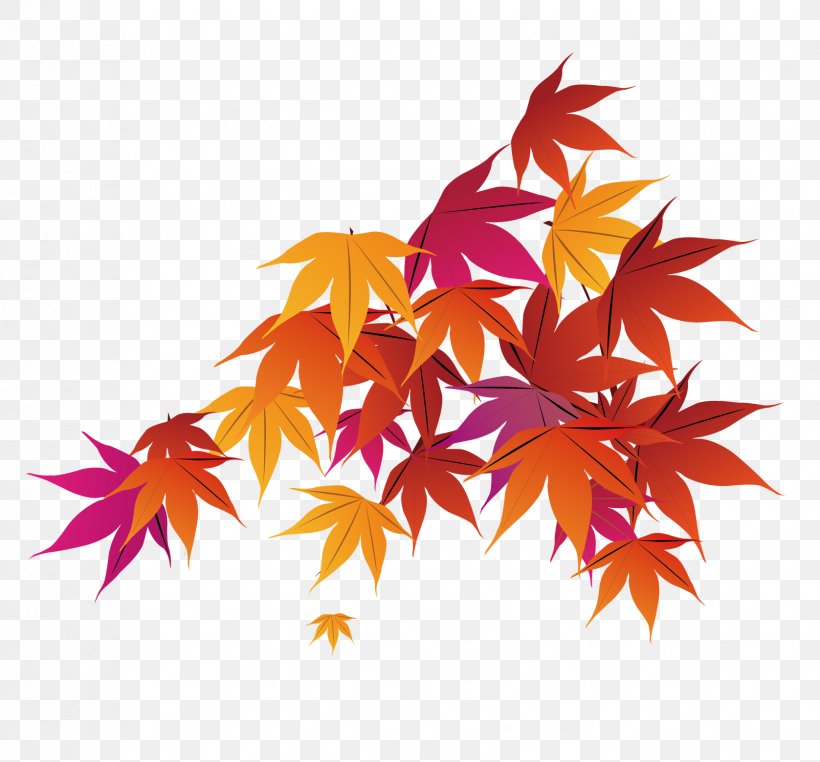 Red Maple Maple Leaf Autumn, PNG, 1677x1560px, Red Maple, Autumn, Drawing, Flowering Plant, Leaf Download Free