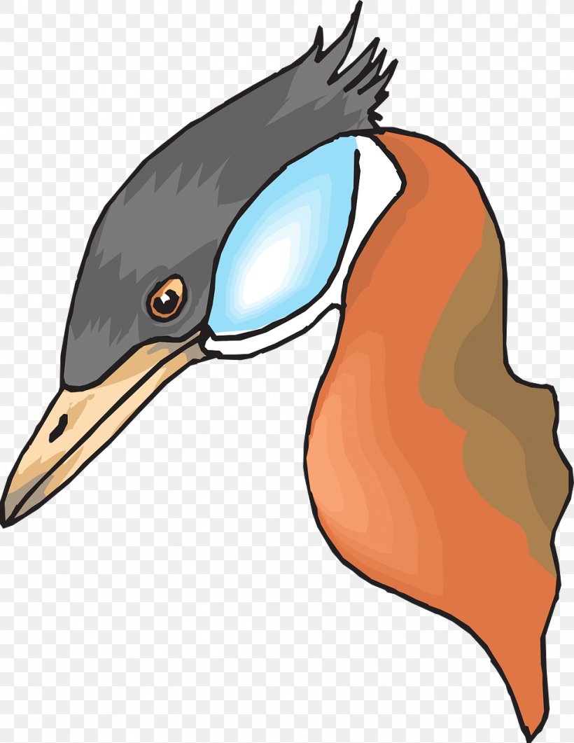 Duck Bird Mallard Beak Clip Art, PNG, 989x1280px, Duck, Anas, Animal, Beak, Bird Download Free