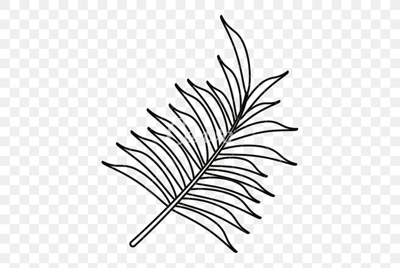 Arecaceae Ravenala Madagascariensis, PNG, 550x550px, Arecaceae, Art, Black And White, Branch, Drawing Download Free