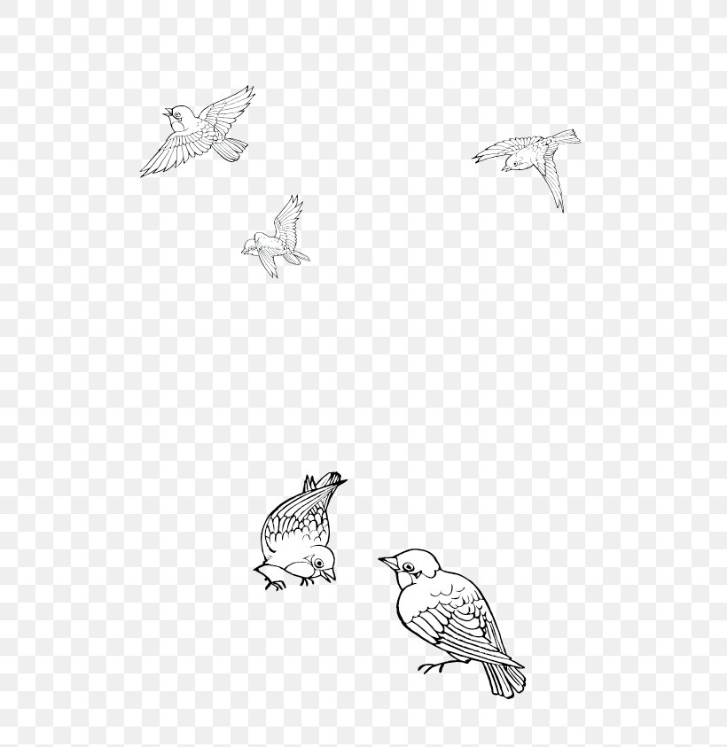 Bird Cartoon Black And White, PNG, 596x843px, Bird, Area, Autumn, Beak, Black And White Download Free