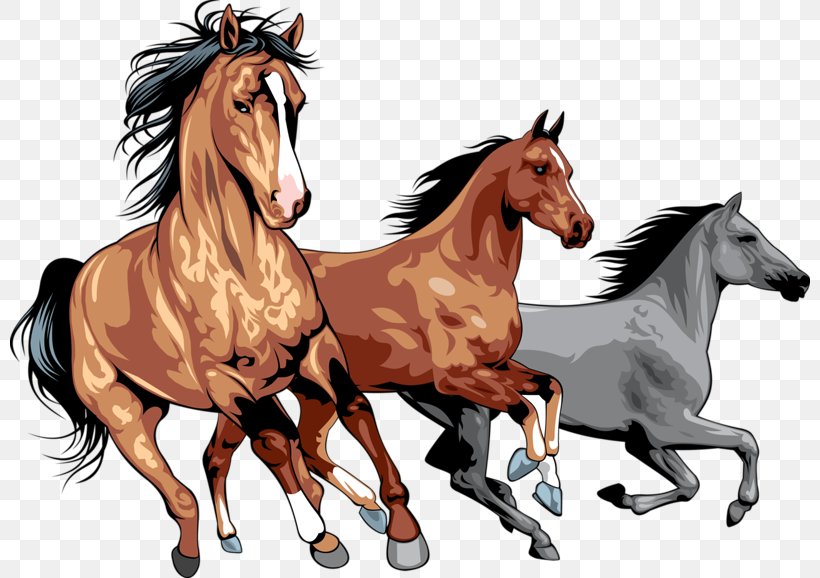 Horse Pony Royalty-free Clip Art, PNG, 800x578px, Horse, Art, Bridle, Can Stock Photo, Colt Download Free