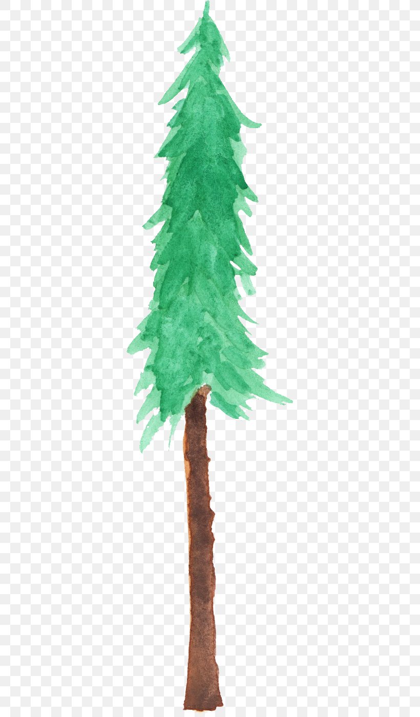 Fir Spruce Christmas Tree Branch, PNG, 325x1400px, Fir, Branch, Christmas, Christmas Decoration, Christmas Ornament Download Free