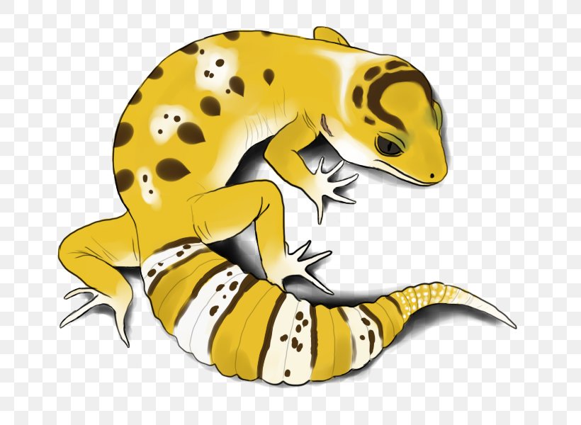 Gecko Frog Lizard Terrestrial Animal, PNG, 800x600px, Gecko, Amphibian, Animal, Animal Figure, Animated Cartoon Download Free