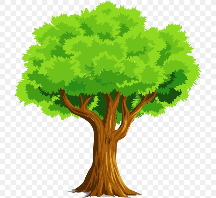 Oak Tree Leaf, PNG, 710x749px, Tree, Arbor Day, Grass, Green, Leaf Download Free