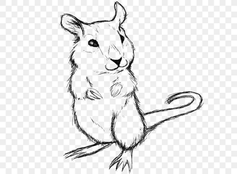 Rat Gerbil Hamster Mouse Rodent, PNG, 600x600px, Rat, Art, Artwork, Black And White, Carnivoran Download Free