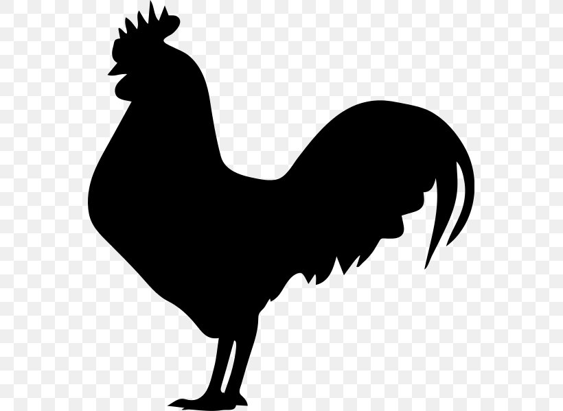 Rooster Sticker Clip Art, PNG, 563x599px, Rooster, Beak, Bird, Black And White, Chicken Download Free