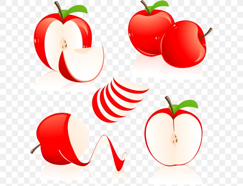 Apple Clip Art, PNG, 614x628px, Apple, Apple Keyboard, Diet Food, Flower, Food Download Free