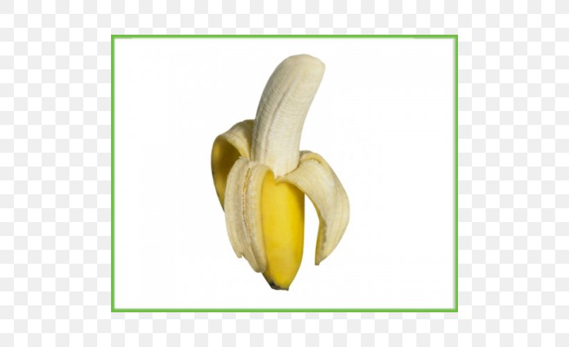 Berry Banana Peel Eating, PNG, 500x500px, Berry, Banana, Banana Family, Banana Peel, Banana Powder Download Free