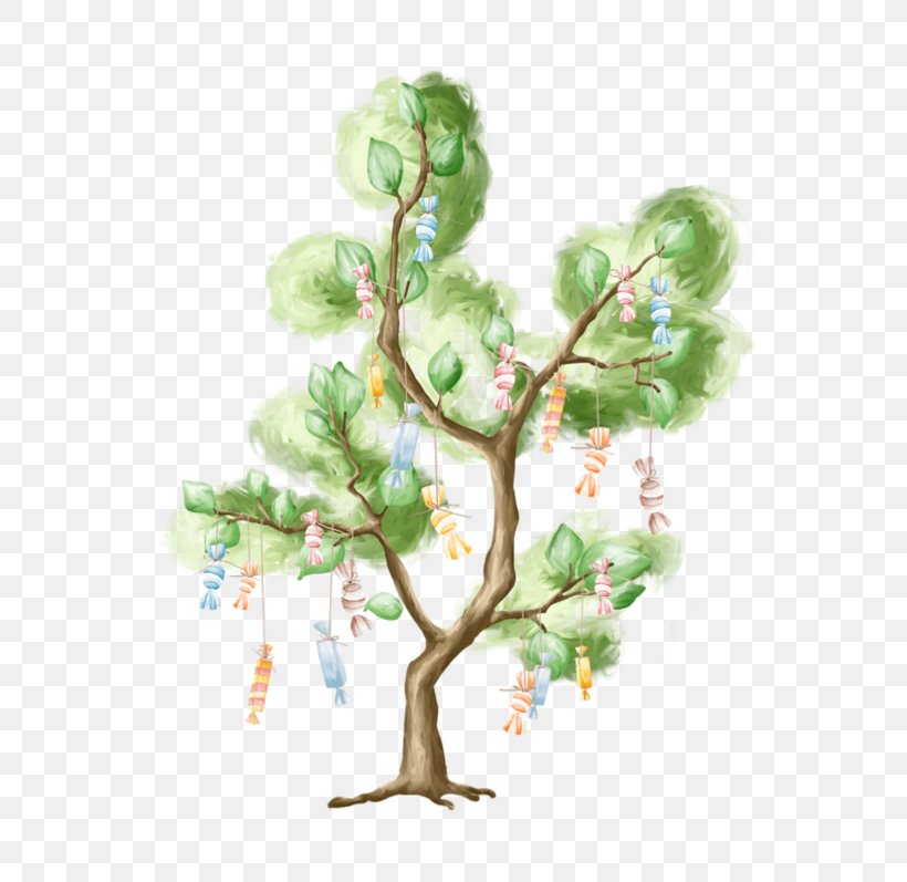 Birthday 0 Tree Party August, PNG, 600x797px, 2016, 2018, Birthday, August, Branch Download Free