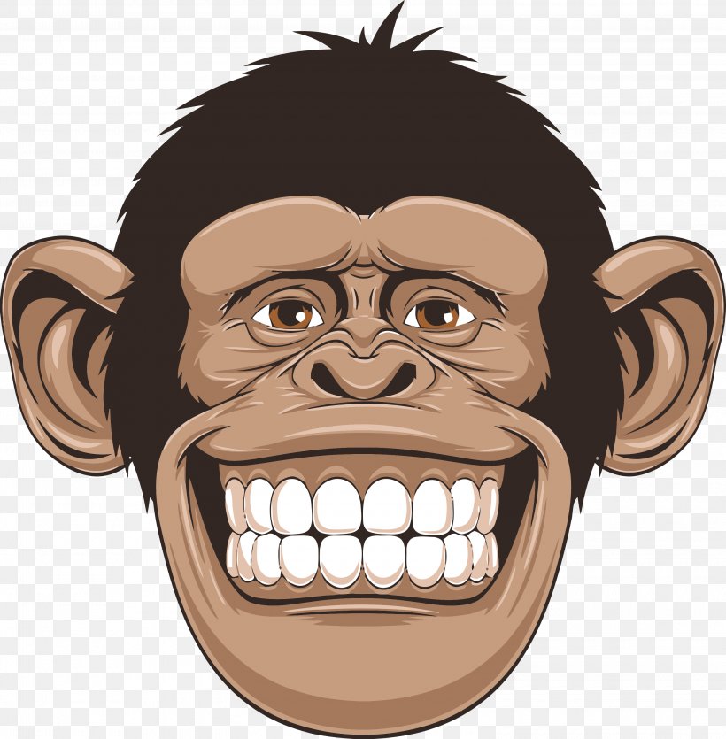Chimpanzee Primate Drawing, PNG, 3000x3055px, Chimpanzee, Drawing, Face