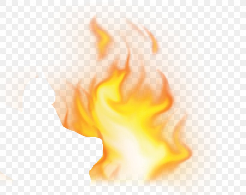 Flame Petal Wallpaper, PNG, 1286x1021px, Flame, Computer, Fire, Orange, Peach Download Free