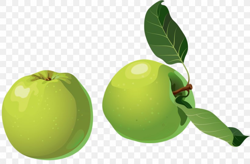 Granny Smith Apple Tomato, PNG, 1024x672px, Granny Smith, Apple, Berry, Citrus, Food Download Free