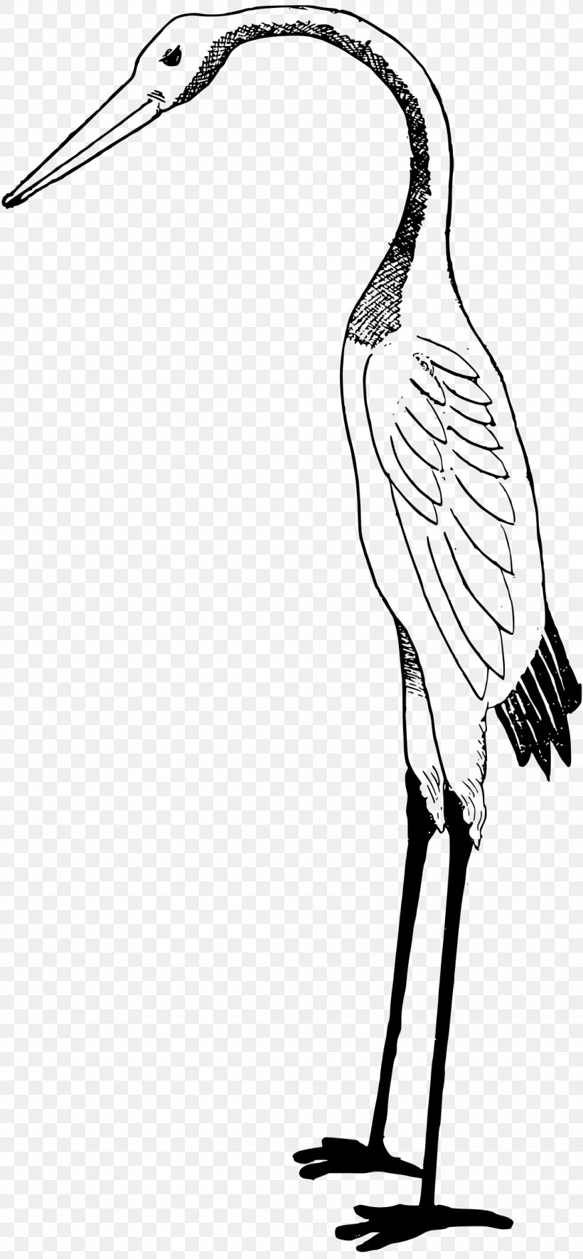 White Stork Clip Art, PNG, 1111x2400px, White Stork, Artwork, Beak, Bird, Black And White Download Free