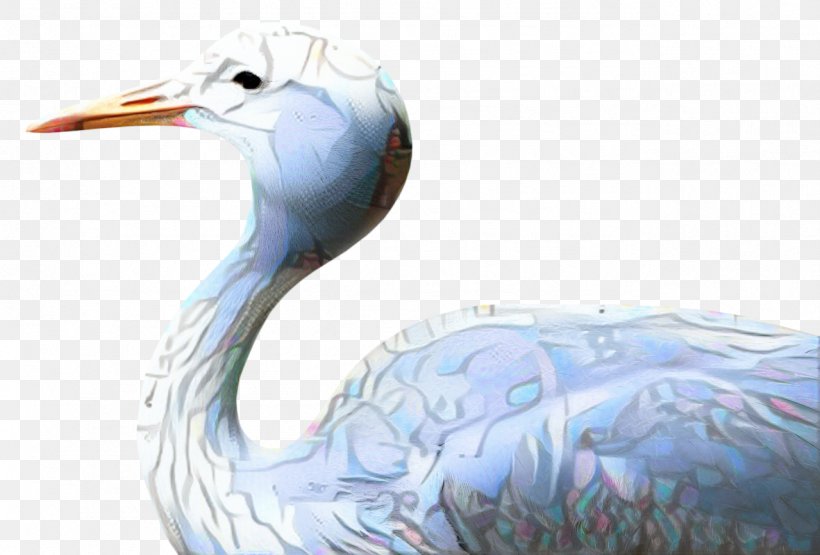 Crane Bird, PNG, 1279x867px, Bird, Beak, Ciconiiformes, Crane, Cranelike Bird Download Free