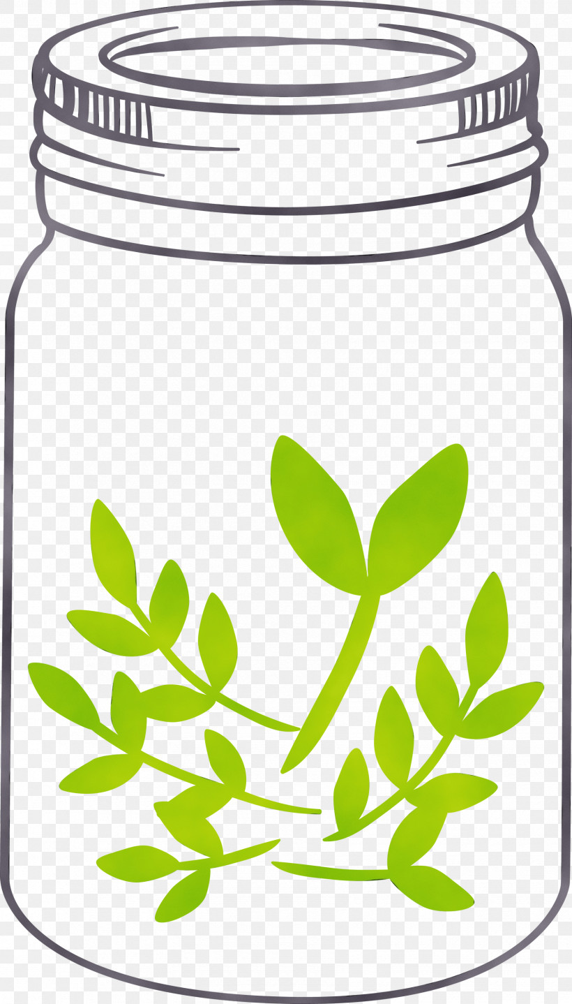 Food Storage Containers Leaf Herbal Medicine Herb Tree, PNG, 1710x2999px, Mason Jar, Container, Flower, Food Storage, Food Storage Containers Download Free