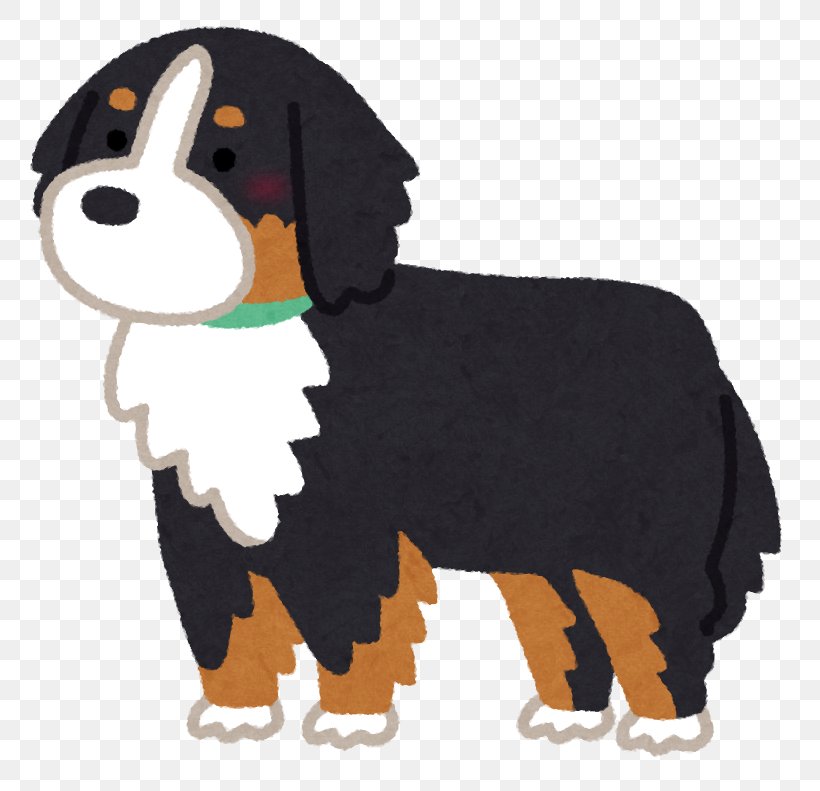 Bernese Mountain Dog Dog Breed Puppy Labernois, PNG, 791x791px, Bernese Mountain Dog, Breed, Carnivoran, Cartoon, Cat Download Free