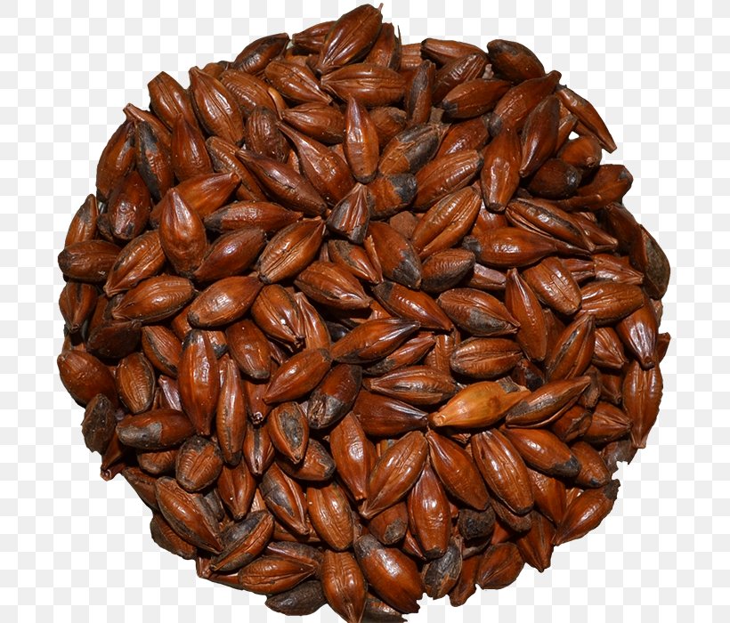 Commodity Seed Nut, PNG, 700x700px, Commodity, Ingredient, Nut, Nuts Seeds, Seed Download Free