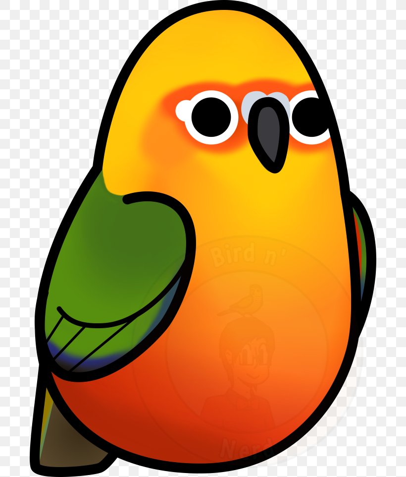 Conure Bird Jandaya Parakeet Green-cheeked Parakeet, PNG, 700x962px, Conure, Beak, Bird, Bluecrowned Parakeet, Drawing Download Free