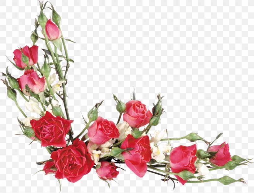 Day Of The Tax Authorities In Russia Garden Roses 21 November, PNG, 1280x970px, 2017, Russia, Ansichtkaart, Artificial Flower, Branch Download Free