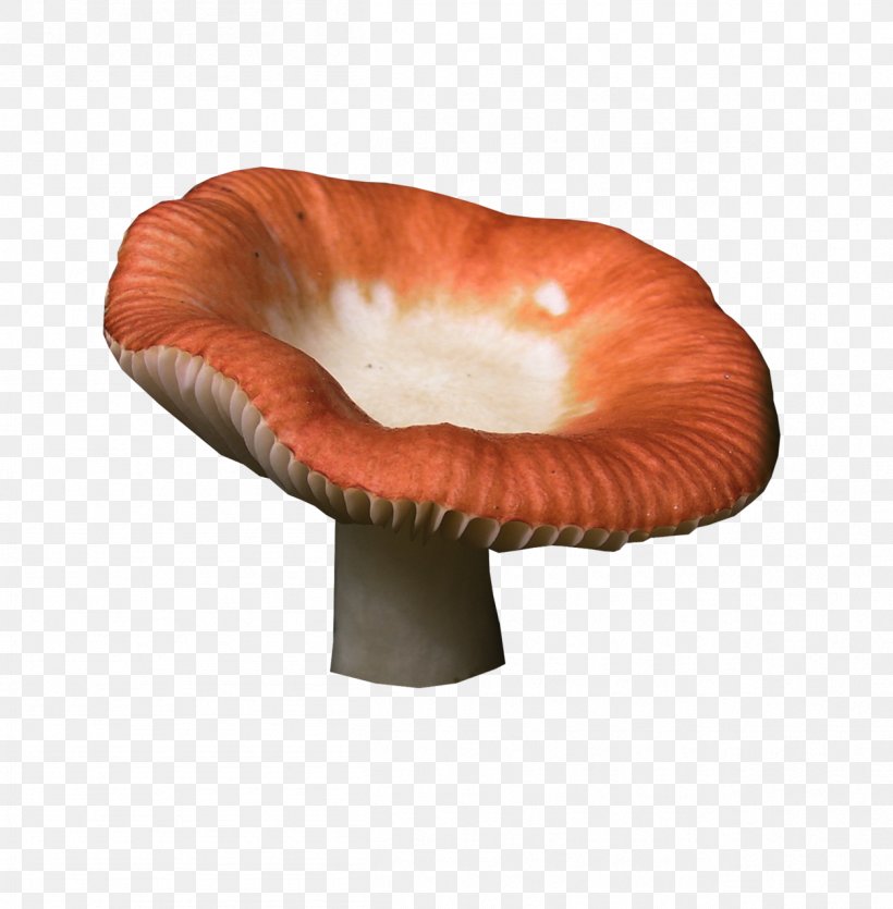 Fungus Death Cap Digital Image, PNG, 1256x1280px, Fungus, Animation, Aspen Mushroom, Brown Cap Boletus, Death Cap Download Free