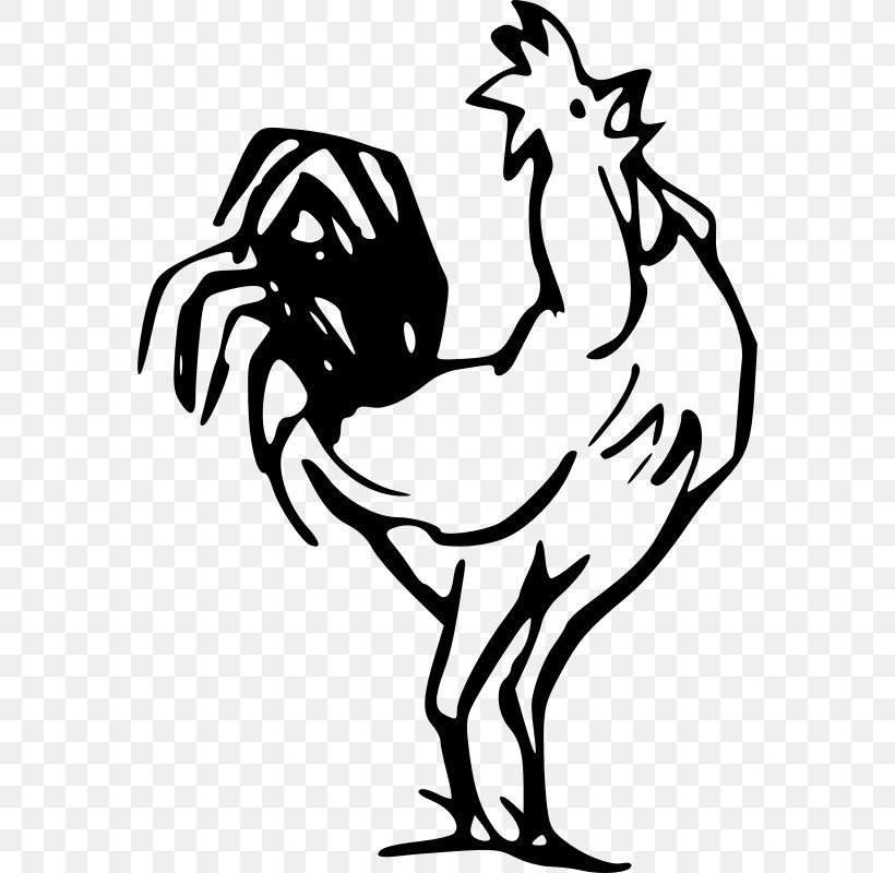 Chicken Rooster Clip Art, PNG, 800x800px, Chicken, Art, Artwork, Beak, Bird Download Free