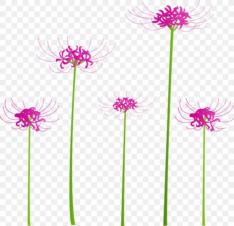 Hurricane Lily Flower, PNG, 3000x2907px, Hurricane Lily, Allium, Cut Flowers, Flower, Pedicel Download Free