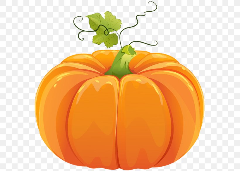 Pumpkin Download Clip Art, PNG, 600x586px, Pumpkin, Bell Pepper, Bell Peppers And Chili Peppers, Blog, Calabaza Download Free