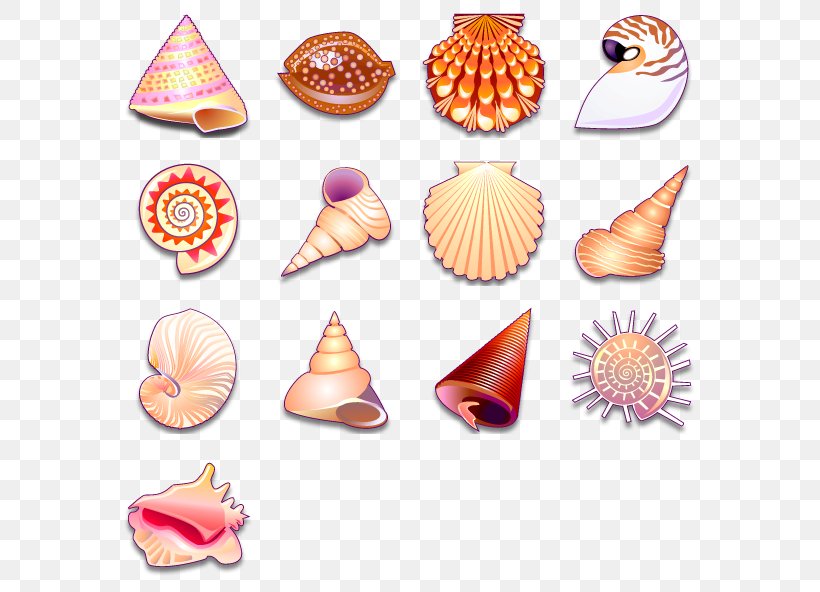 Seashell Clip Art, PNG, 592x592px, Seashell, Computer, Conch, Conchology, Desktop Environment Download Free