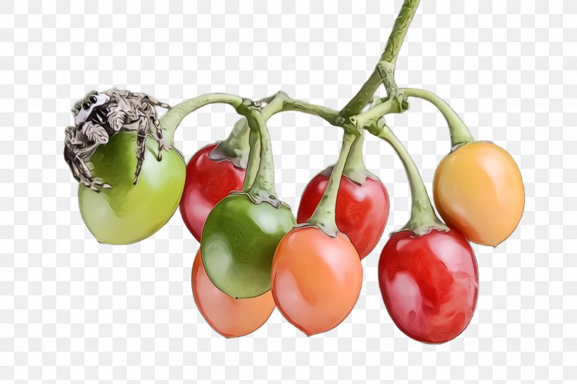 Tomato, PNG, 2448x1632px, Watercolor, Cherry, Flower, Food, Fruit Download Free